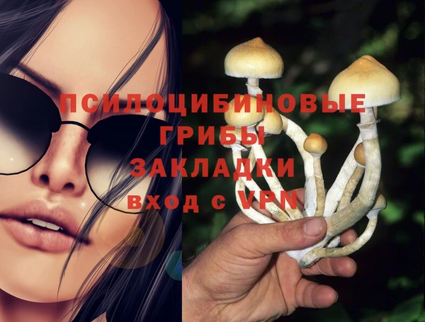 мдпв Балахна