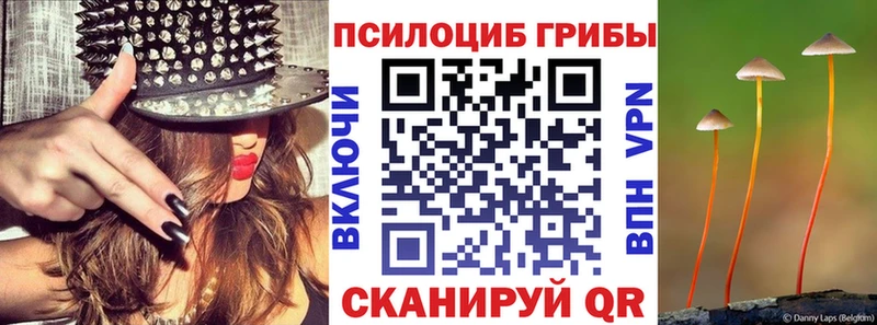 Псилоцибиновые грибы Psilocybine cubensis  закладки  Соль-Илецк 